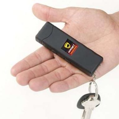 Worlds Smallest Stun Gun