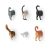 Cat Butt Magnets Set of 6